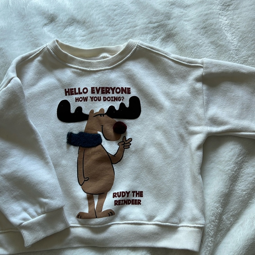Zara toddler hoodie